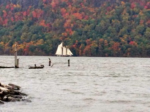 Fall in Westchester NY