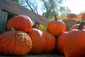 Pumpkins