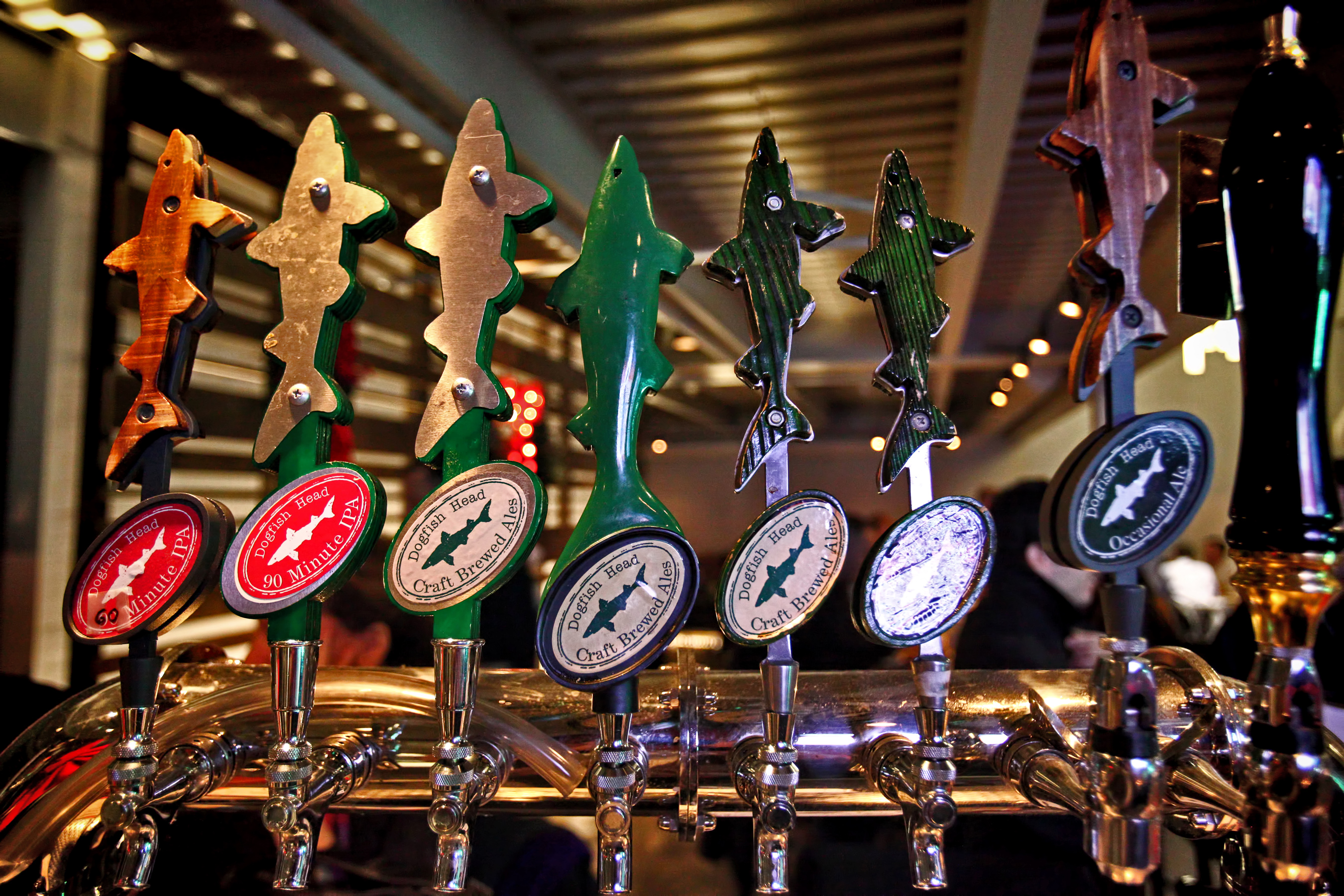Seven Taps Dogfish