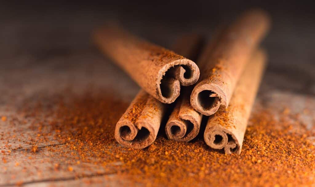 First of the Month Cinnamon Ritual for Attracting Abundance