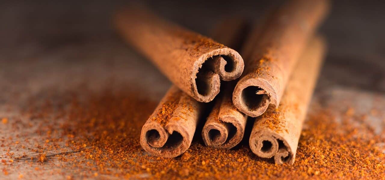 First of the Month Cinnamon Ritual for Attracting Abundance
